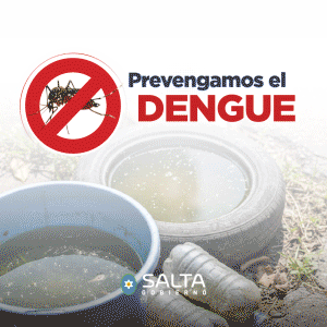 banner dengue provincia
